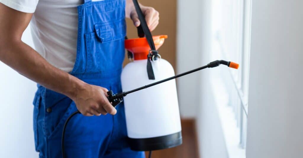 שכירת שירותי הדברה מקצועיים - שמירה על ביתך החדש נקי ממזיקים